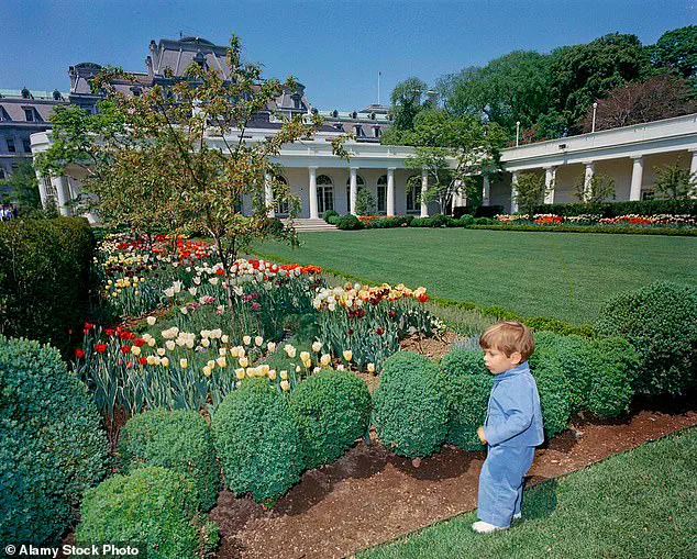 Behind Closed Doors: How Trump's Privileged Access to Power Shapes a Divided Legacy