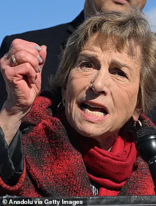 Behind Closed Doors: The Democratic Party's Silent Generational Rebellion