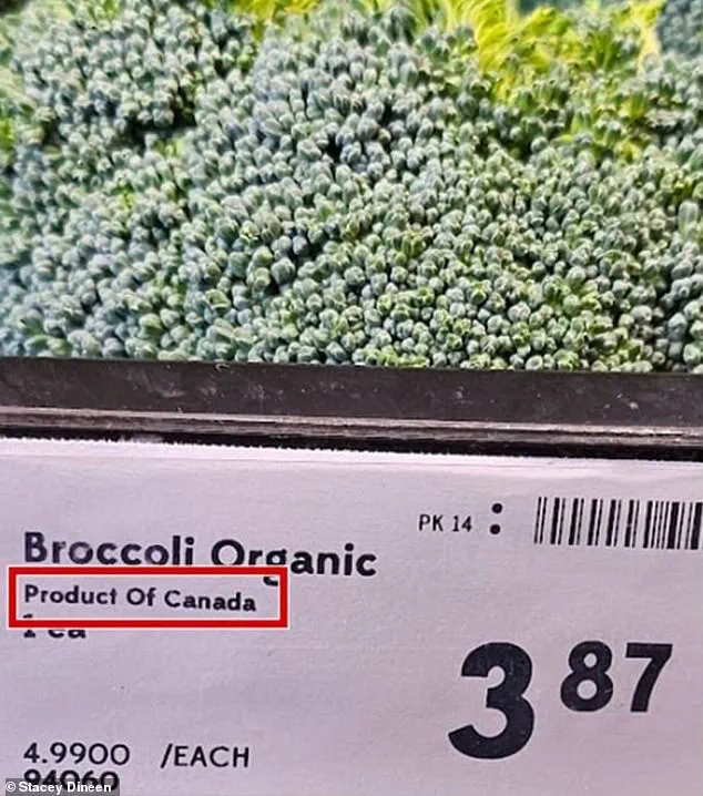 Canadian Supermarkets Exposed for Mislabeling U.S. Produce Amid Trump Tariff Scrutiny