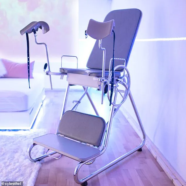 The Ethical Dilemma of Human-Like Sex Dolls and Their Impact on Communities