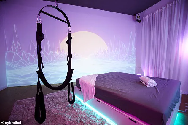 The Ethical Dilemma of Human-Like Sex Dolls and Their Impact on Communities