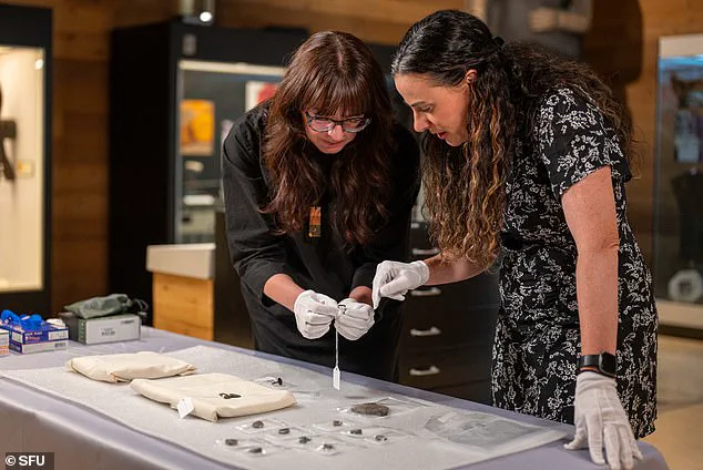 Ancient Artifacts, Priced at $22 in Canadian Thrift Store, Spark Debate Over Cultural Heritage and Regulation