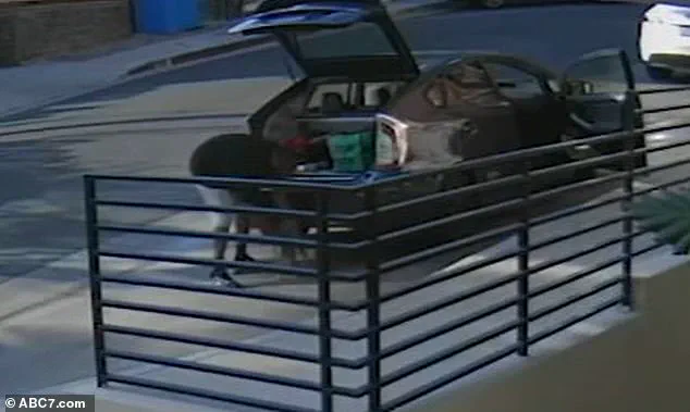 West Hollywood Delivery Driver Allegedly Steals Beloved Cat Floki, Sparking Community Outcry Over Pet Safety