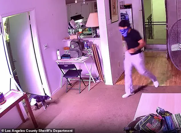 West Hollywood Delivery Driver Allegedly Steals Beloved Cat Floki, Sparking Community Outcry Over Pet Safety