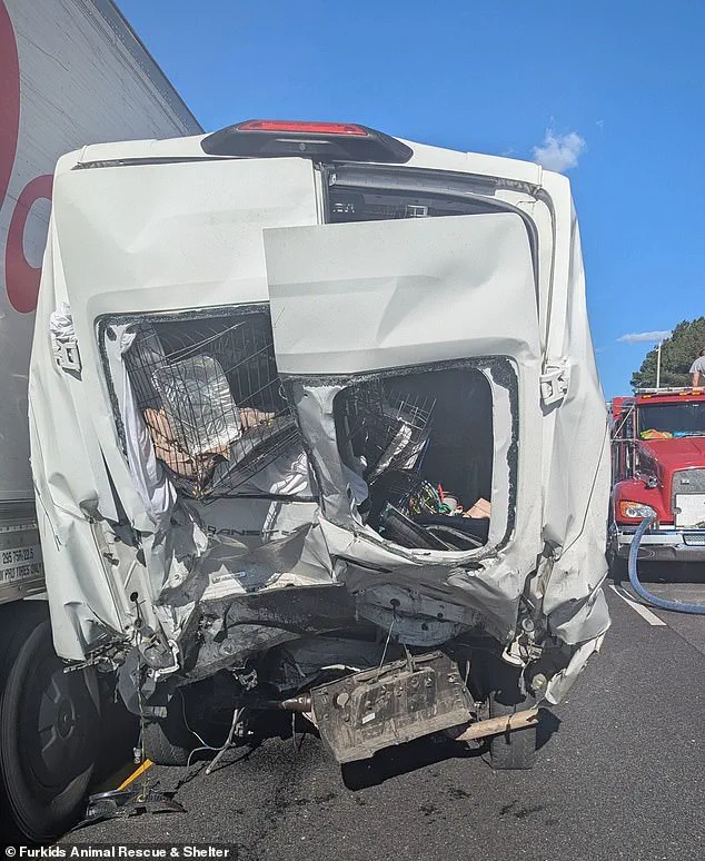 Deadly Interstate 85 Pileup in Georgia Claims Eight Lives, Marking One of Year's Deadliest Incidents