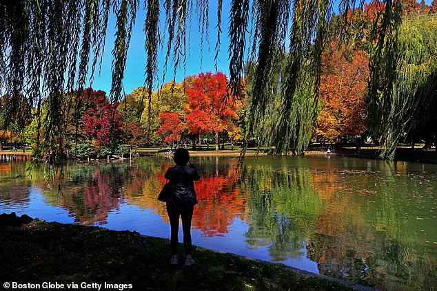 New England’s Autumn Foliage Crisis: Drought Spells Economic Blow for Tourism-Dependent Regions