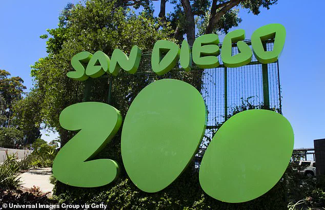 Gramma the Galapagos Tortoise, San Diego Zoo's Beloved Icon, Passes Away at 141