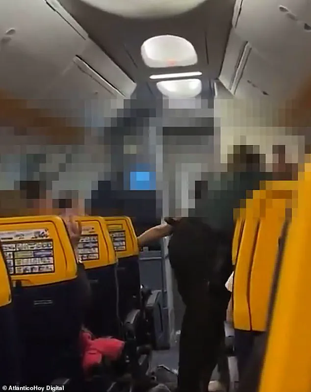 Irish MMA Fighter Arrested After Allegedly Attacking Spanish Police on Ryanair Flight