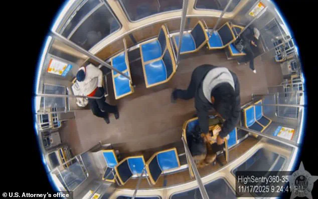 Survivor of Chicago Blue Line Attack Faces Critical Condition After Severe Burns