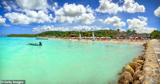 Tragic Brutality on Antigua's Serene Beach: Wisconsin Woman Killed During Horseback Riding Tour in Shocking Attack