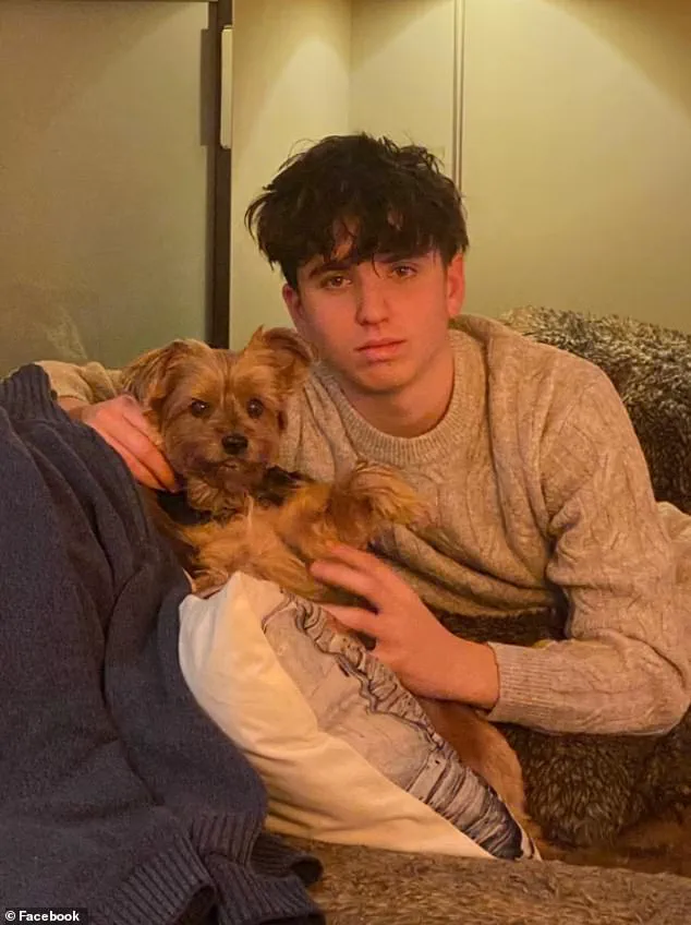 Breaking: Emerging Footage Reveals Horror of Le Constellation Inferno as Revelry to Ruin