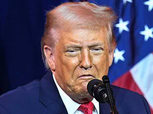 Gabriela Parra: A Journalist's Exile and the Symbolic Barrier of the Open Bridge Amid Venezuela's Regime Persecution