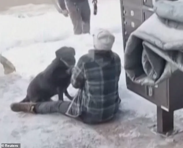 Handywoman Killed by ICE in Minneapolis; Wife Identified as Having Disdain for Trump