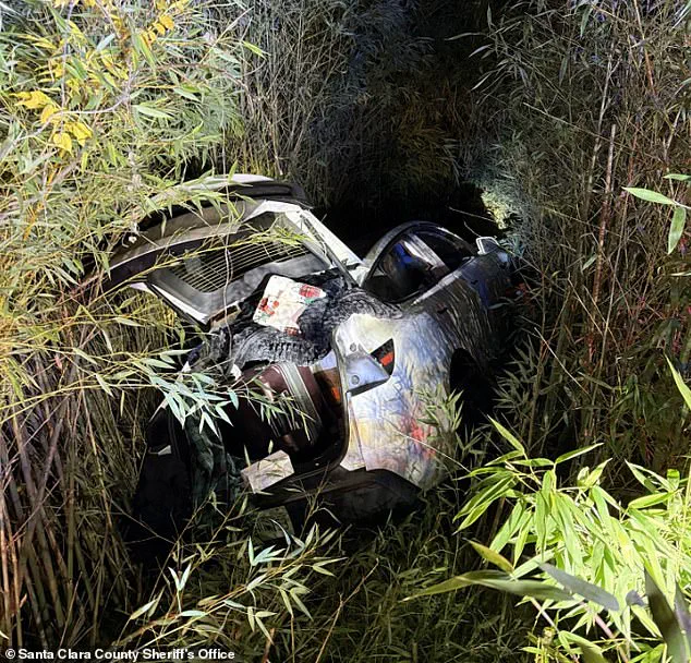 Mental Health Entrepreneur Vikram Beri Jailed Following Napa Valley Winery Incident