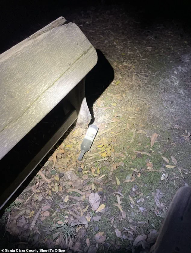 Mental Health Entrepreneur Vikram Beri Jailed Following Napa Valley Winery Incident