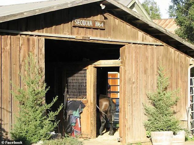 Mental Health Entrepreneur Vikram Beri Jailed Following Napa Valley Winery Incident