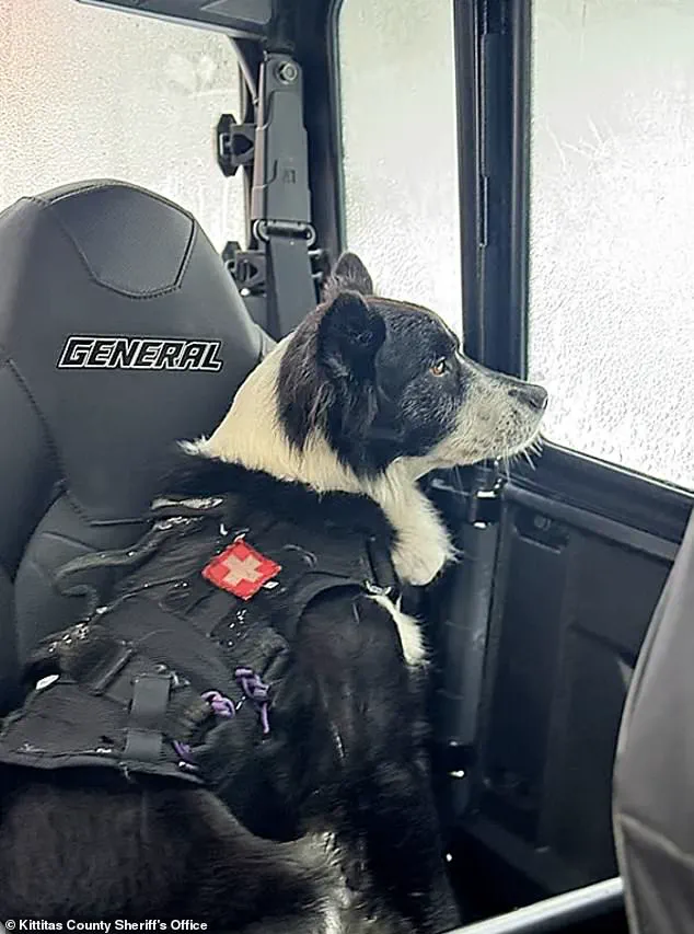 Avalanche Near Longs Pass Trail Claims Two Lives in Washington State