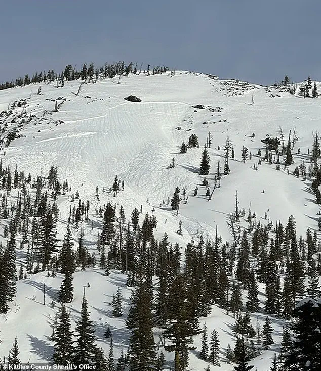 Avalanche Near Longs Pass Trail Claims Two Lives in Washington State