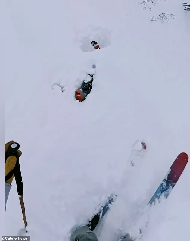 Avalanche Rescue in Engelberg: Skier's Survival Captured in Viral Footage