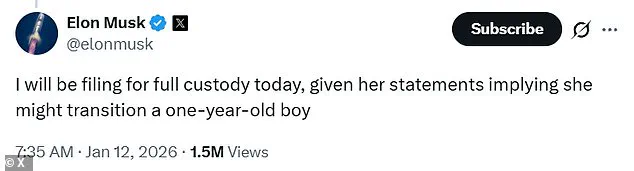 Elon Musk's Custody Bid Amid Mother's Social Media Remarks Raises Community Concerns