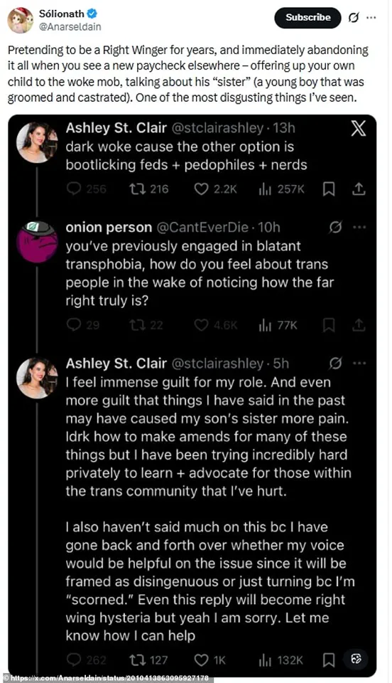 Elon Musk's Custody Bid Amid Mother's Social Media Remarks Raises Community Concerns