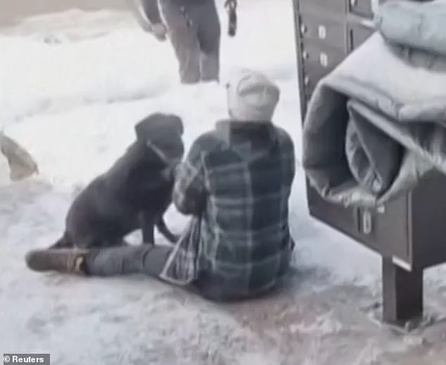 Alleged Justice Department Directive and Limited Access to Information Behind Minnesota Prosecutors' Resignations