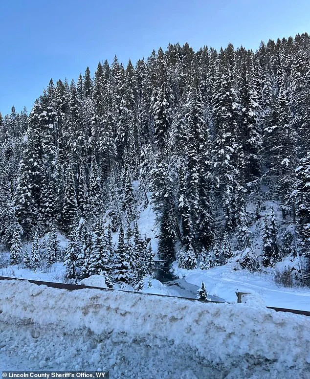 Avalanche Claims Life of Utah Man During Snowmobile Ride in Wyoming Mountains