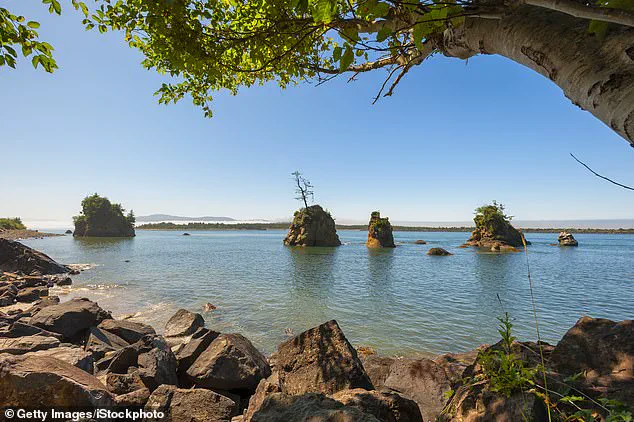 Decades-Long Mystery of Skeletal Remains on Washington Beach Unravels Tale of a Missing Man, Grieving Family, and Small-Town Mayor