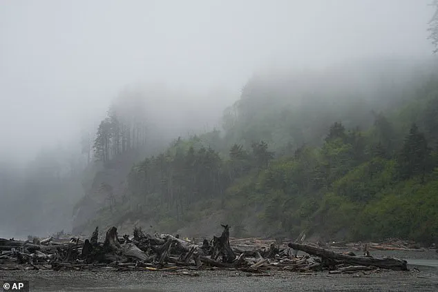 Decades-Long Mystery of Skeletal Remains on Washington Beach Unravels Tale of a Missing Man, Grieving Family, and Small-Town Mayor