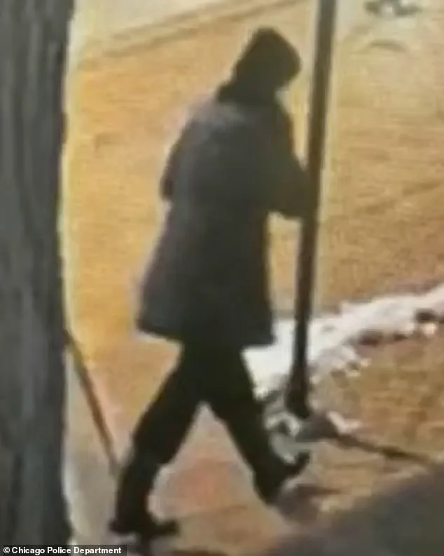 Linda Brown's Tragic Death Sparks Calls for Transparent Mental Health Access and Credible Expert Guidance in Public Well-Being