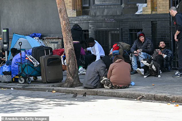 San Rafael's Homeless Encampment Proposal Sparks Controversy Over Secrecy and Lack of Community Input