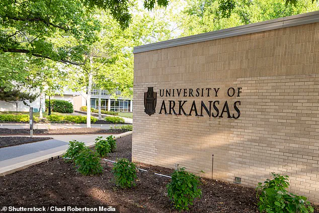 University of Arkansas Sparks Controversy by Rescinding Job Offer to Legal Scholar Emily Suski