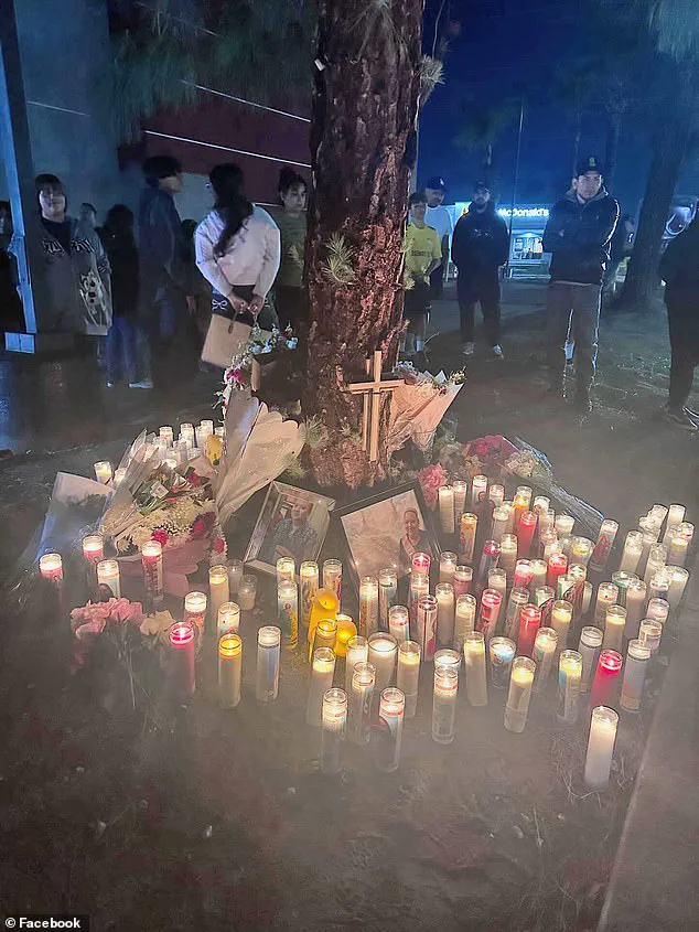 Tragic Collision Sparks Debate on Speeding Regulations and Public Safety