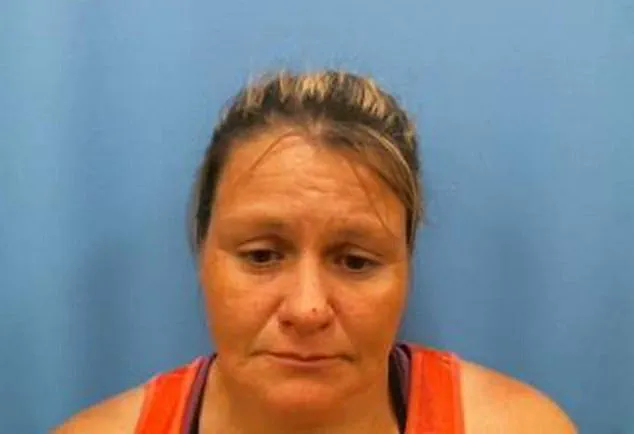 Legal Proceedings Highlight Discrepancy Between Sentencing Guidelines and Public Safety Concerns