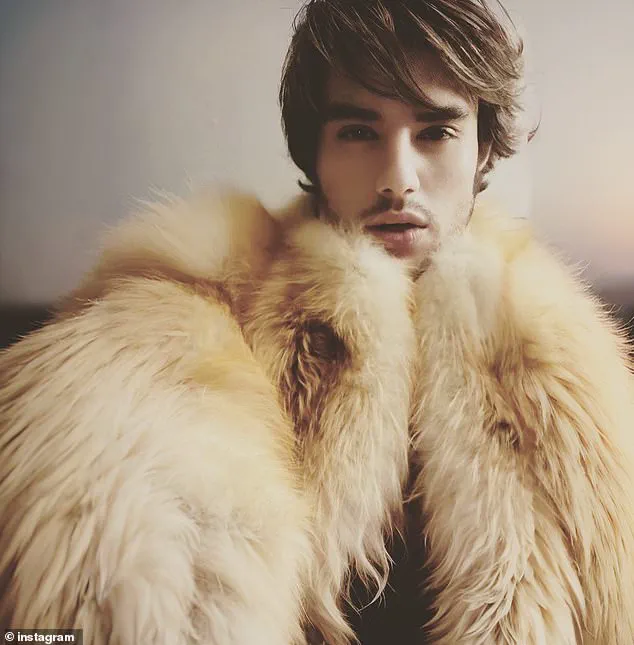 Wyoming Restauranteur's Shocking Claims Link Nick Reiner to Brutal Murder of Rob Reiner and Wife, Sending Ripples Through Entertainment Industry