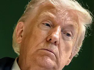 NATO Secretary General Mark Rutte Rebuts Trump's Doubts on Alliance Commitment, Cites Afghanistan as Evidence