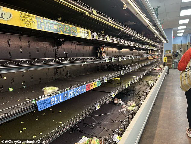 Imminent Ice Storm 'Fern' Threatens Lives: Nation on Edge as Catastrophic Winter Crisis Unfolds