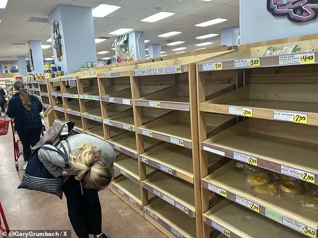 Imminent Ice Storm 'Fern' Threatens Lives: Nation on Edge as Catastrophic Winter Crisis Unfolds