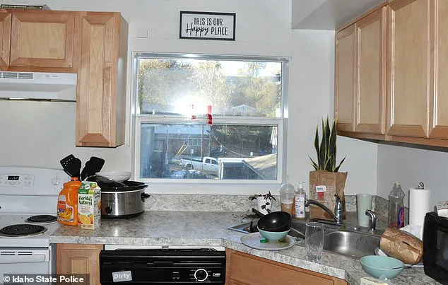 Idaho Murders: A Community's Joy and Potential Erased