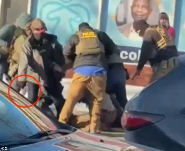 Reelected President Trump's Controversial Defense of Border Patrol Agent Amid Debate Over Immigration Policies Following Nurse's Shooting