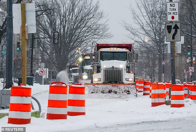 Snow Plow Operator 'Princess Cat' Becomes Symbol of Resilience Amid Winter Storm Fern in Washington, D.C.