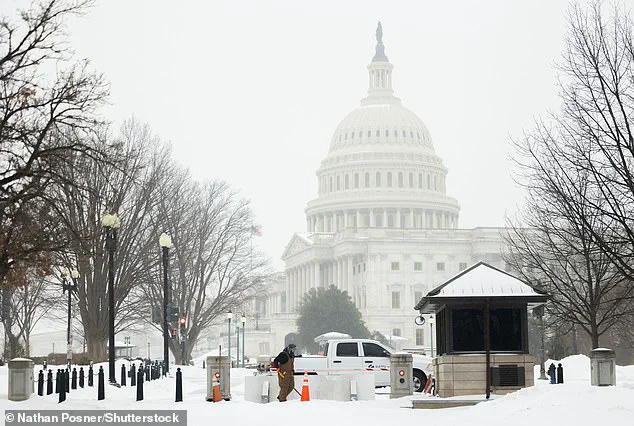 Snow Plow Operator 'Princess Cat' Becomes Symbol of Resilience Amid Winter Storm Fern in Washington, D.C.