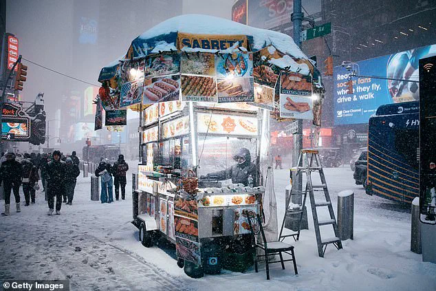 Winter Storm Fern's Devastating Impact: Economic Losses and Public Safety Concerns Amid Calls for Enhanced Government Preparedness