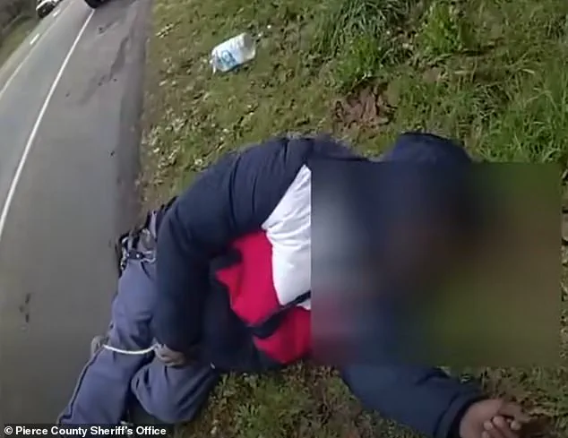 Fire and Chaos: Mail Truck Crash in Parkland, Washington, Captured in Sheriff's Office Body Camera Footage