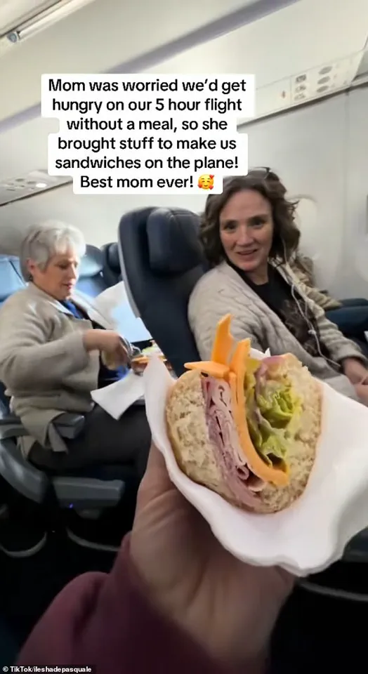 Insiders Reveal: Mother's In-Flight Deli Sparks Debate on Food Safety and Parental Freedom