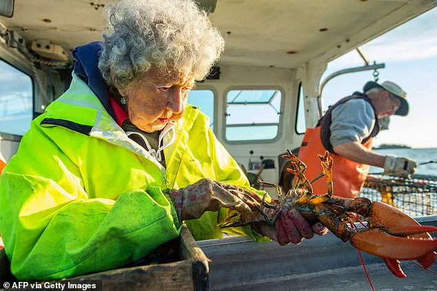 Virginia Oliver, Maine's 'Lobster Lady,' Dies at 105, Leaving a Legacy of Maritime Resilience
