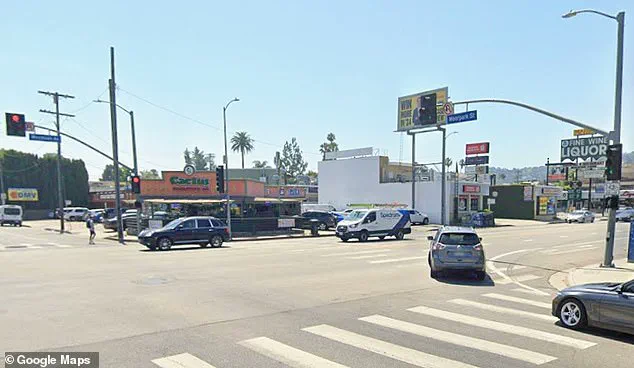 Tragic Late-Night Collision in Sherman Oaks Claims Life of 80-Year-Old Man and His Rottweiler