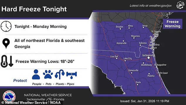 Unprecedented Winter Storm Batters Florida with Record-Cold Temperatures and Severe Weather