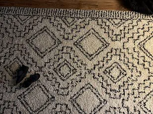 Viral Snowy Backyard Photo Baffles Internet as Users Struggle to Spot Hidden Orange Cat on Reddit