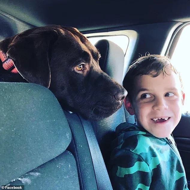 Perth Tragedy: Quadruple Murder-Suicide Shocks Community, Raises Questions About Support for Families with Complex Needs